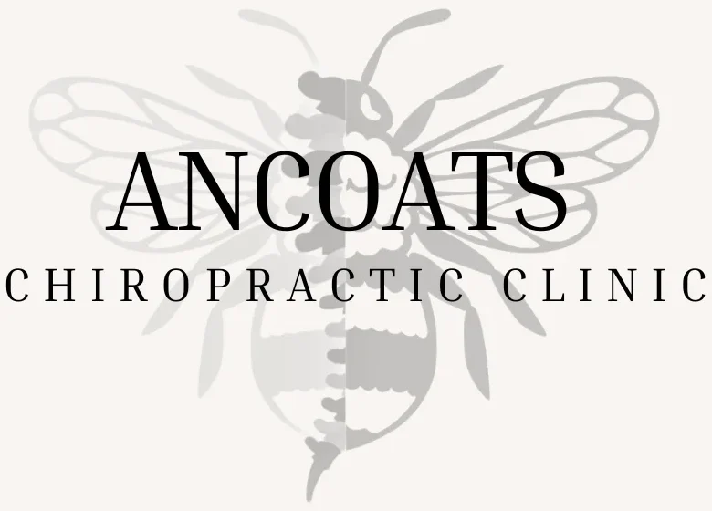 Ancoats Chiropractic Clinic interior with plants and reception area