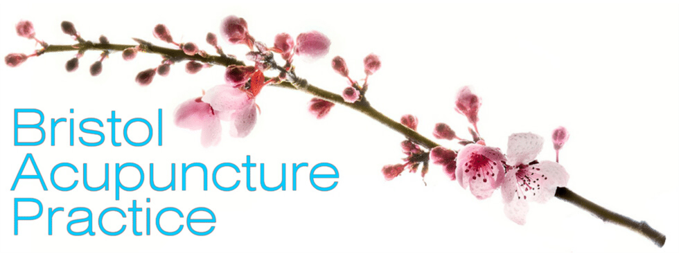 Bristol Acupuncture Practice painted banner