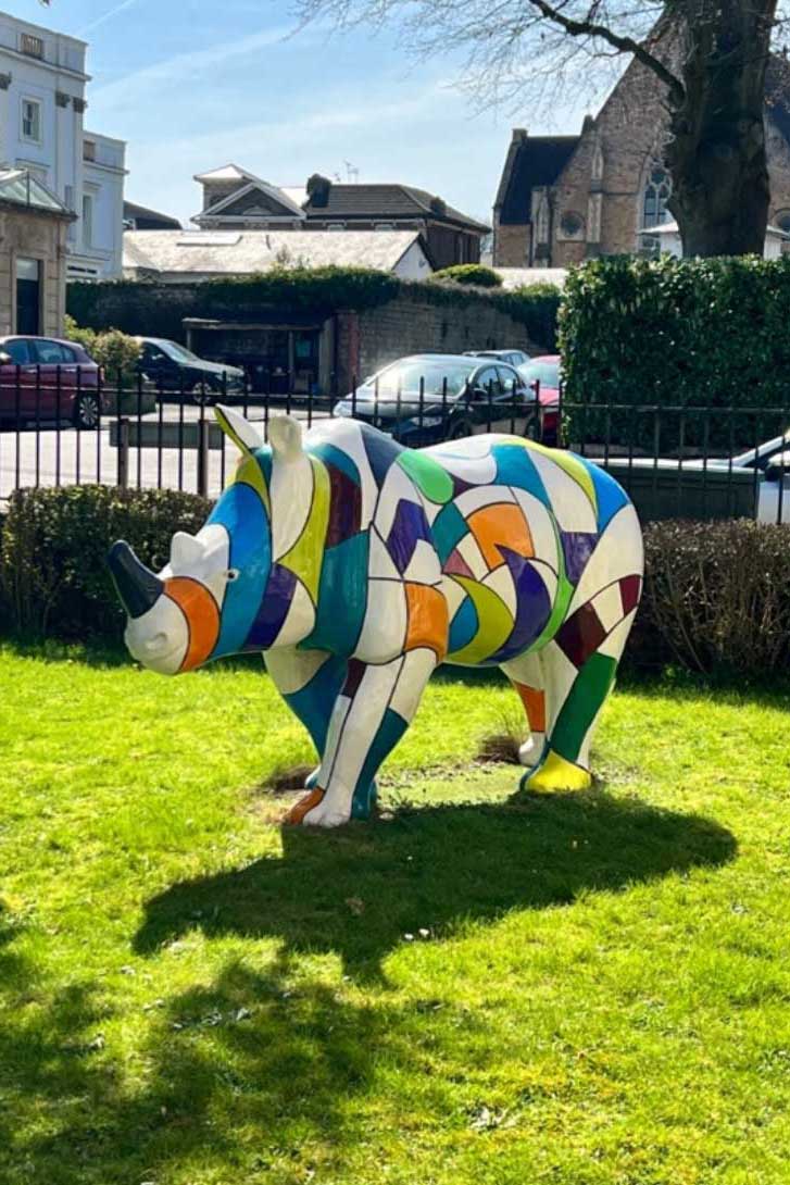 Bristol CBT Clinic Rhino - distinctive garden feature