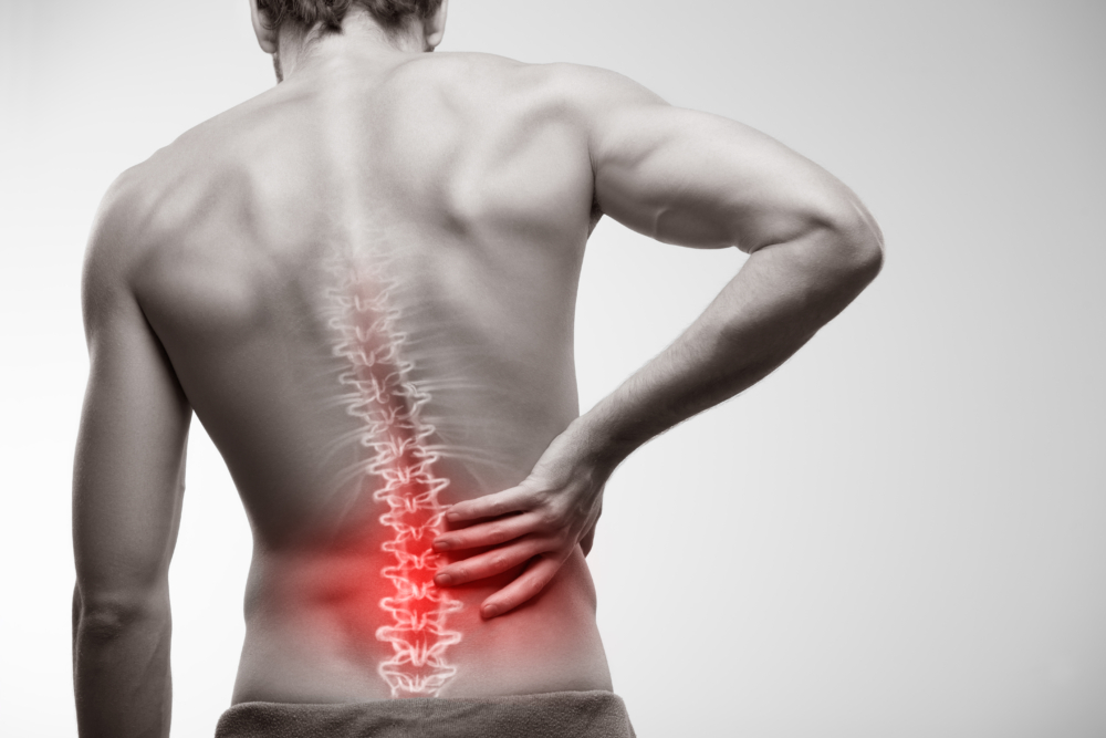 Back pain treatment / physiotherapy service imagery