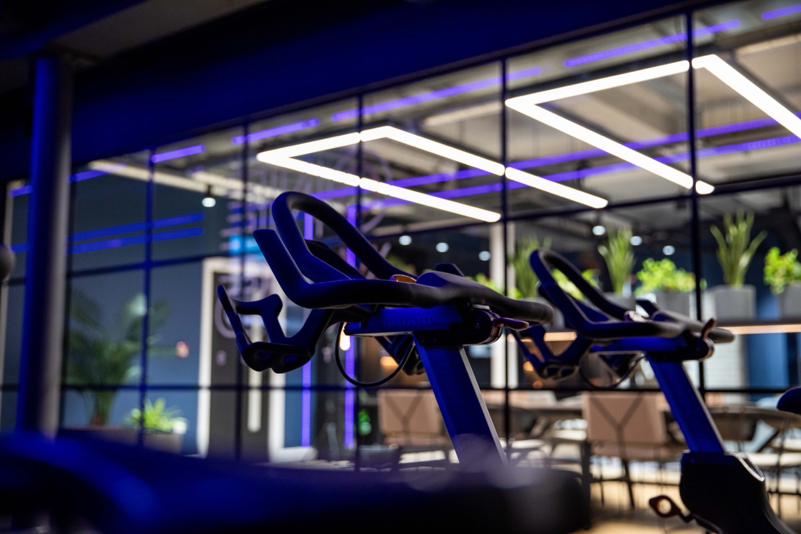 Full Motion Physio strength and conditioning gym equipment room