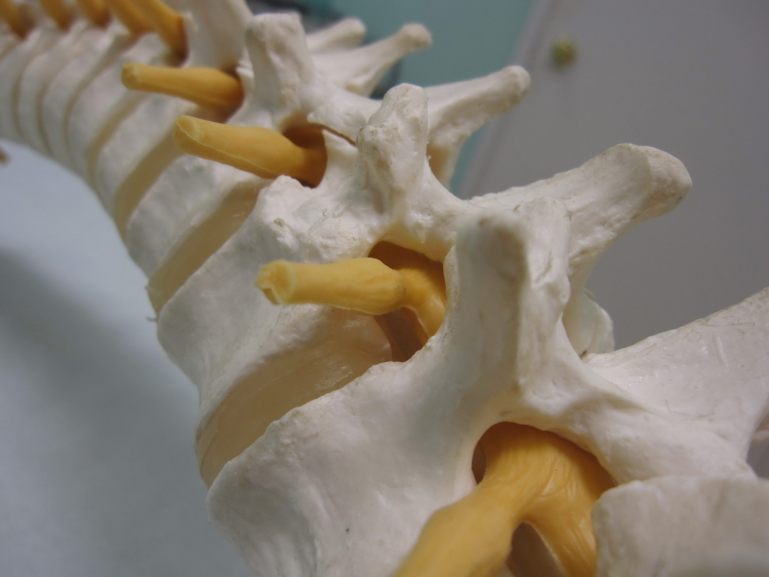 Inside Hawthorne Physiotherapy Clinic