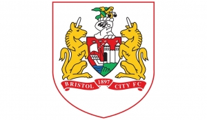 Bristol City Football Club crest (clinic client / sports partner)