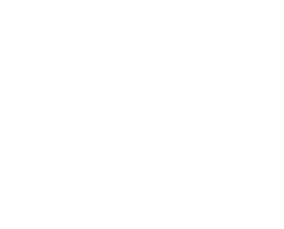 Silhouette eyewear brand