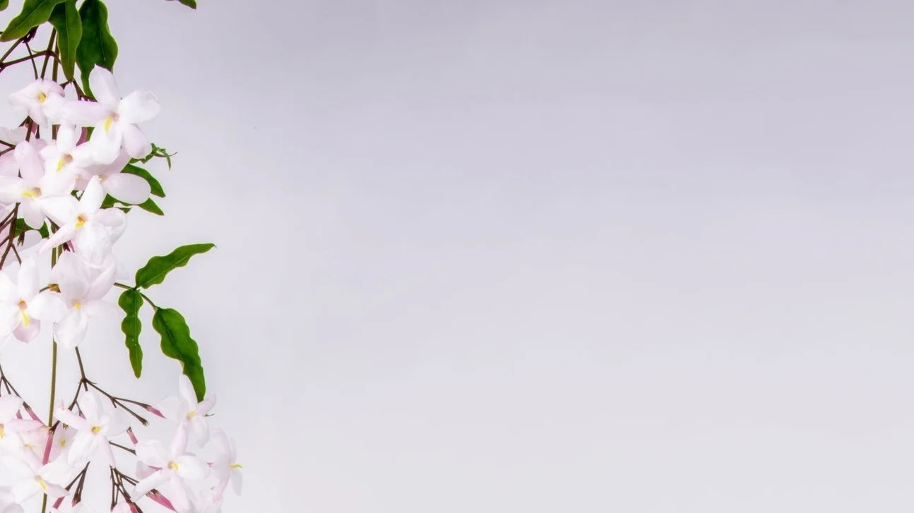Wellness and therapeutic environment at Leeds City Psychology
