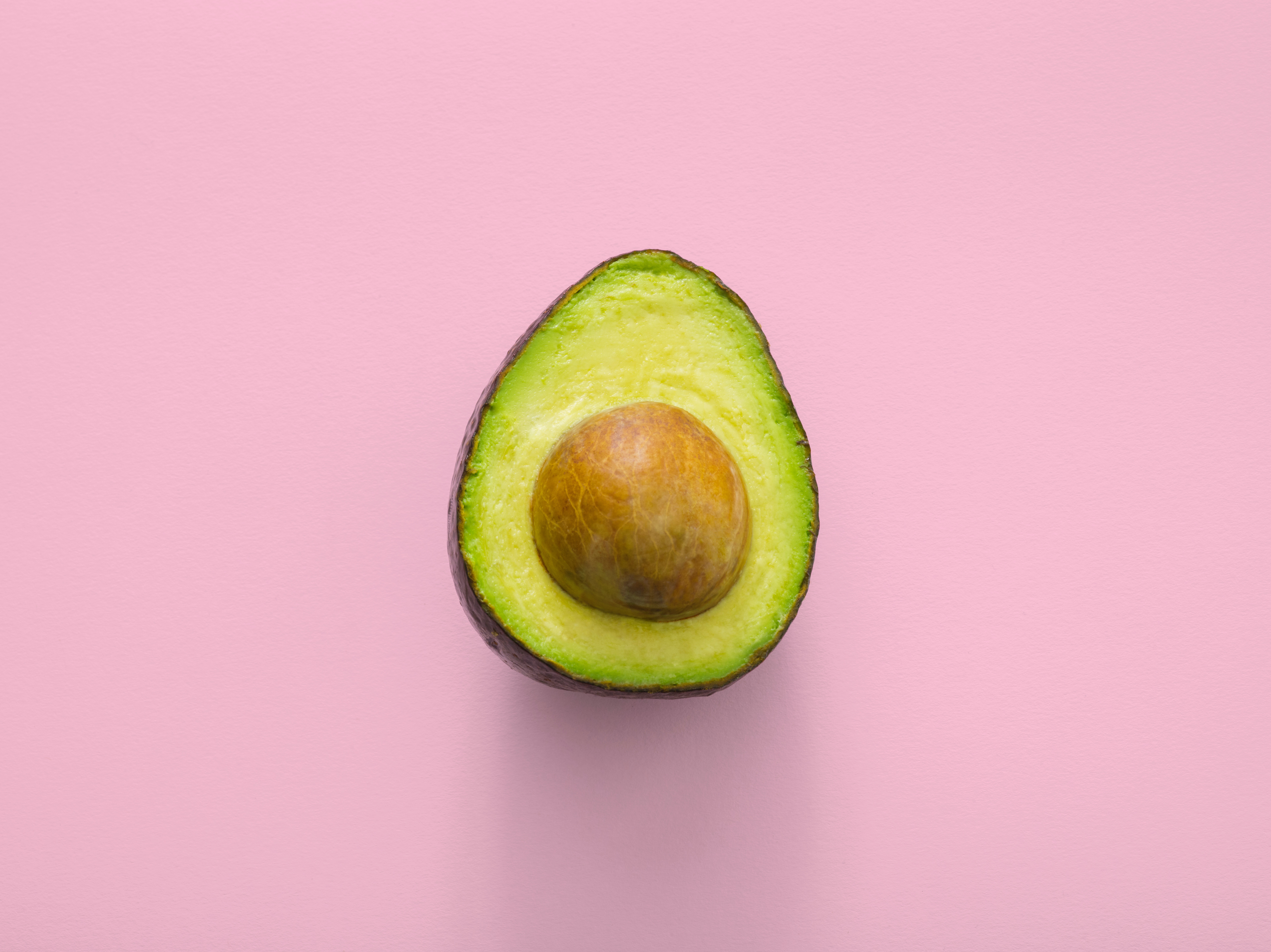 Inside Loud Nutrition