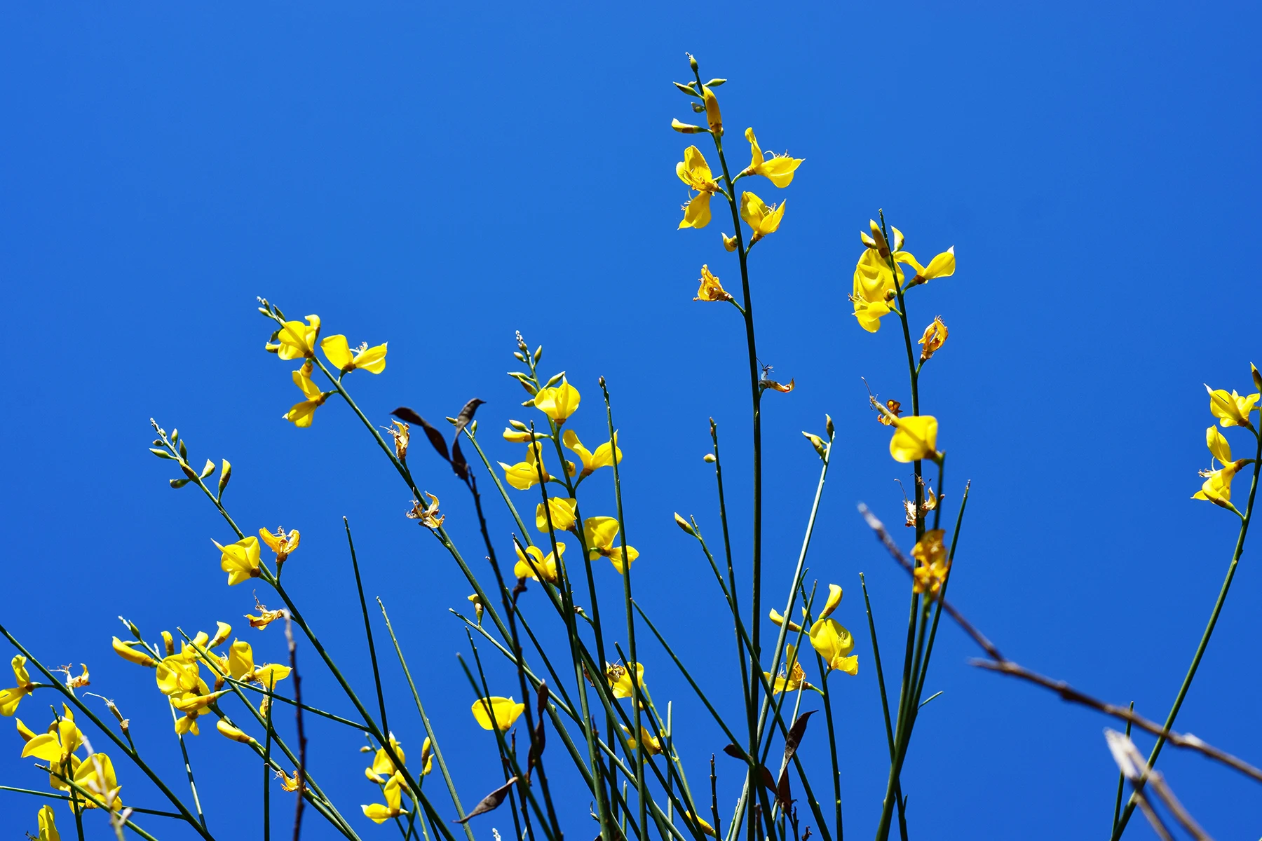 Homepage hero background image