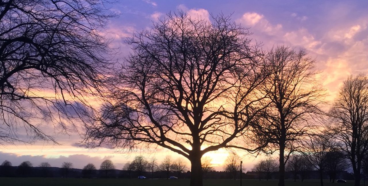Psychotherapist in Bristol