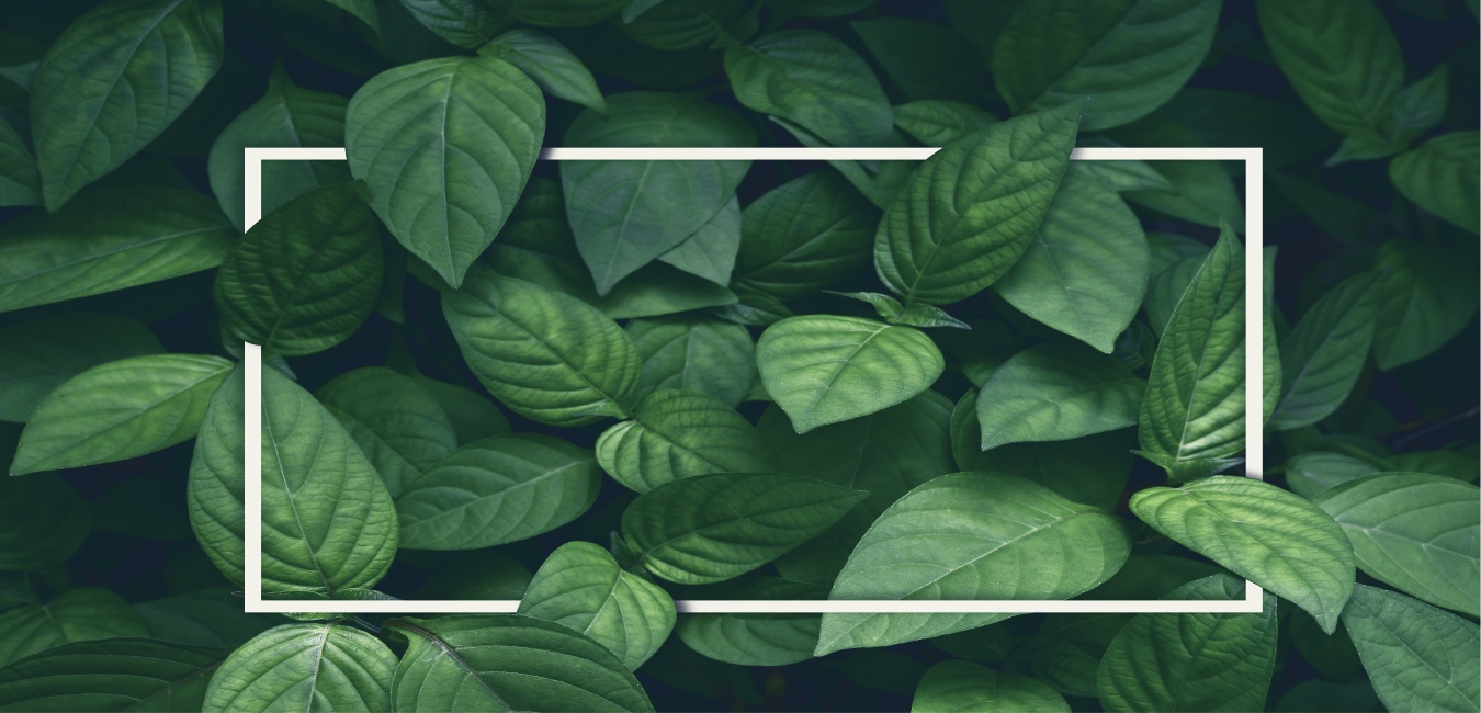 Homepage hero slider frame