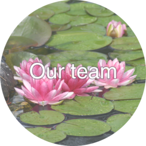 Our team (Healing Rooms Bristol home tile / og:image)