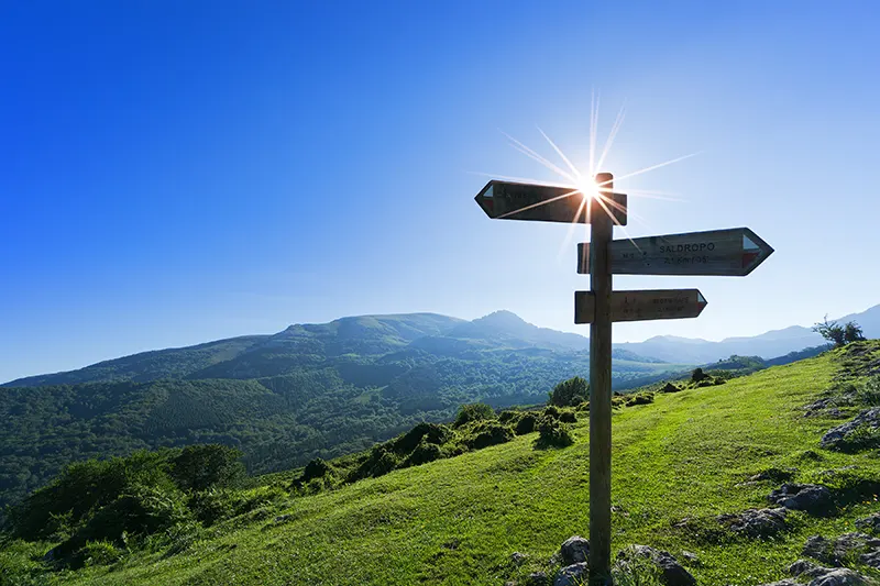 Signposting