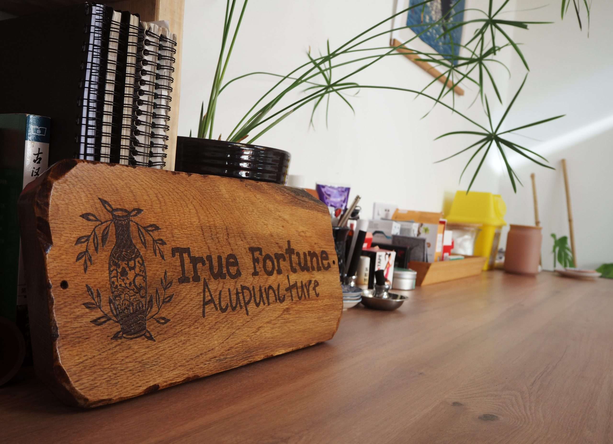 True Fortune Acupuncture clinic interior, Bristol
