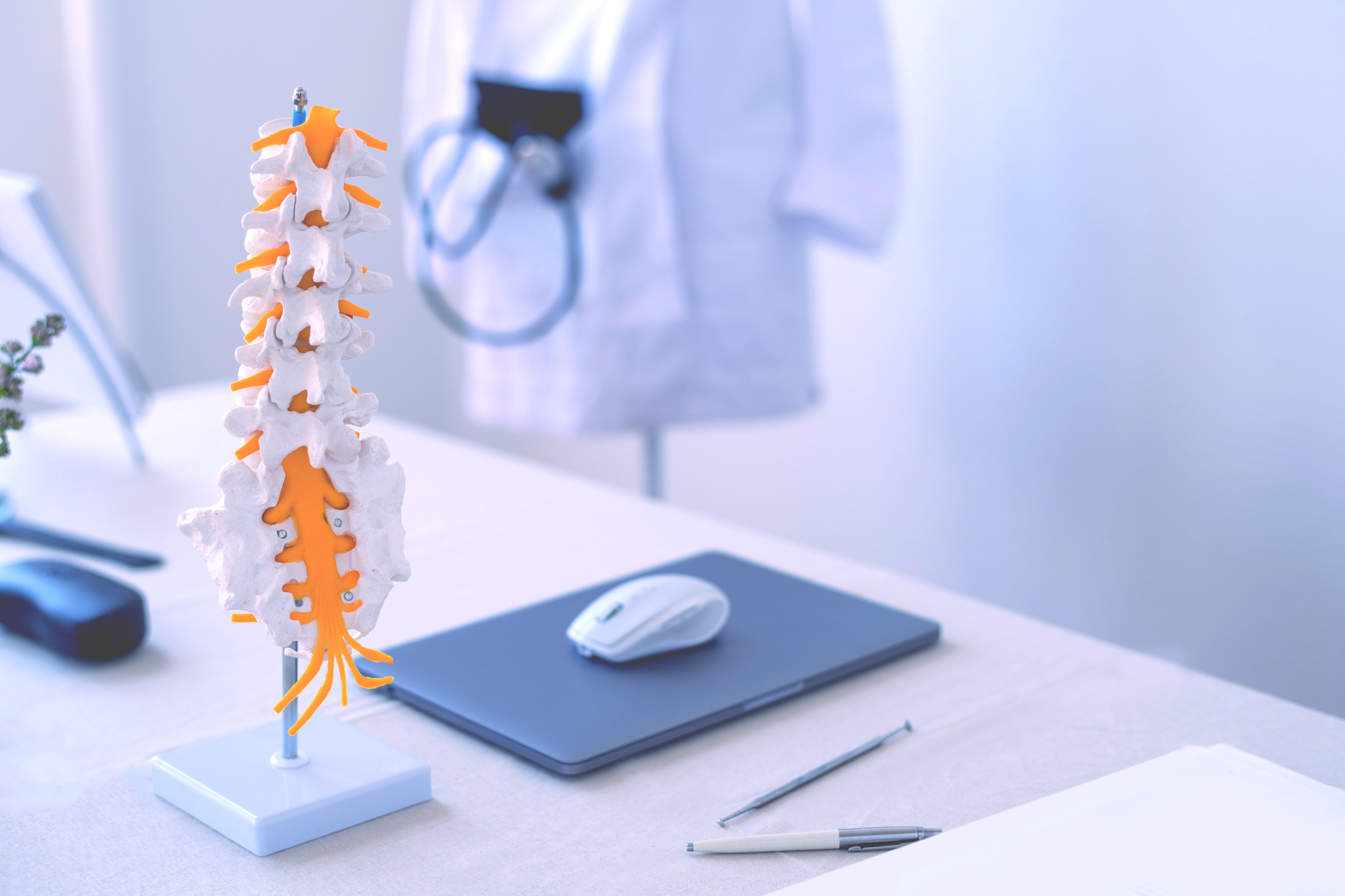 Chiropractic treatment photo
