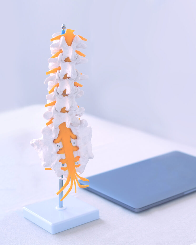 Chiropractic treatment photo